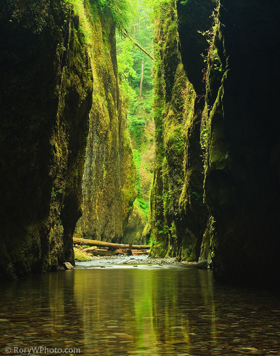 550x700, 113 Kb / ущелье, вода, зелень, ствол, бревно, мелководье