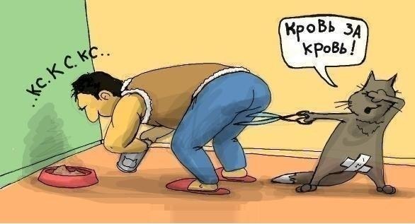 586x317, 33 Kb / кошак, хозяин, ножницы, месть, кот, кастрация, комикс