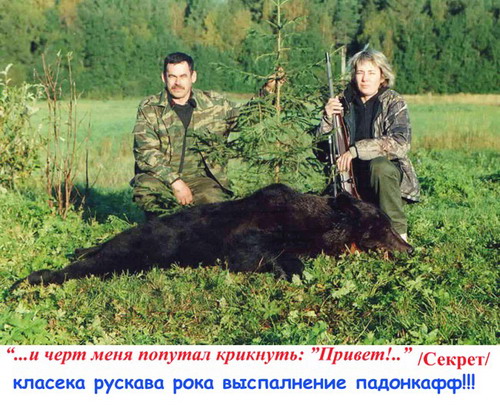 500x416, 100 Kb / превед, медведь, охотники