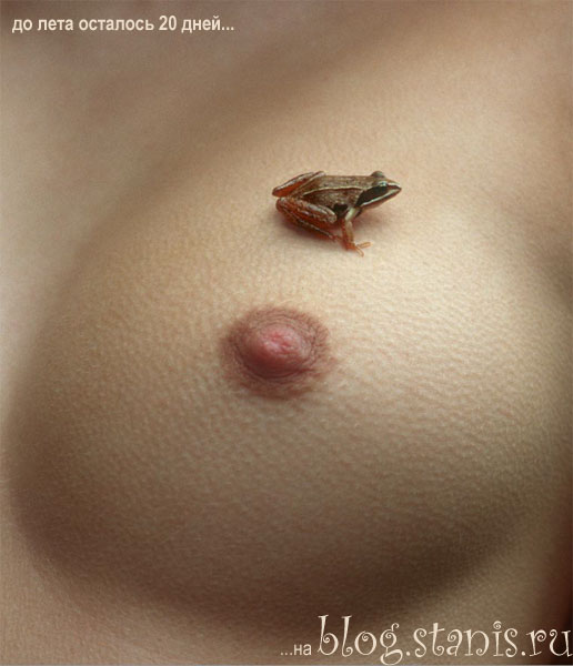 516x600, 45 Kb / лягушка, сиська