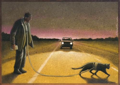 500x353, 29 Kb / ночь, кот, проводырь, самоубийца