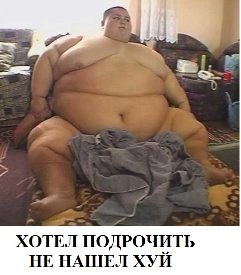 483x553, 64 Kb / упитанный