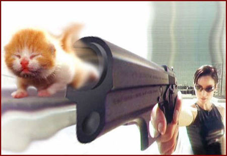 450x310, 27 Kb / матрица, тринити, пистолет, котэ