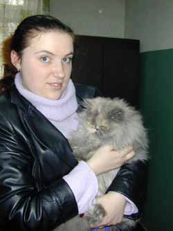 250x333, 8 Kb / кошка