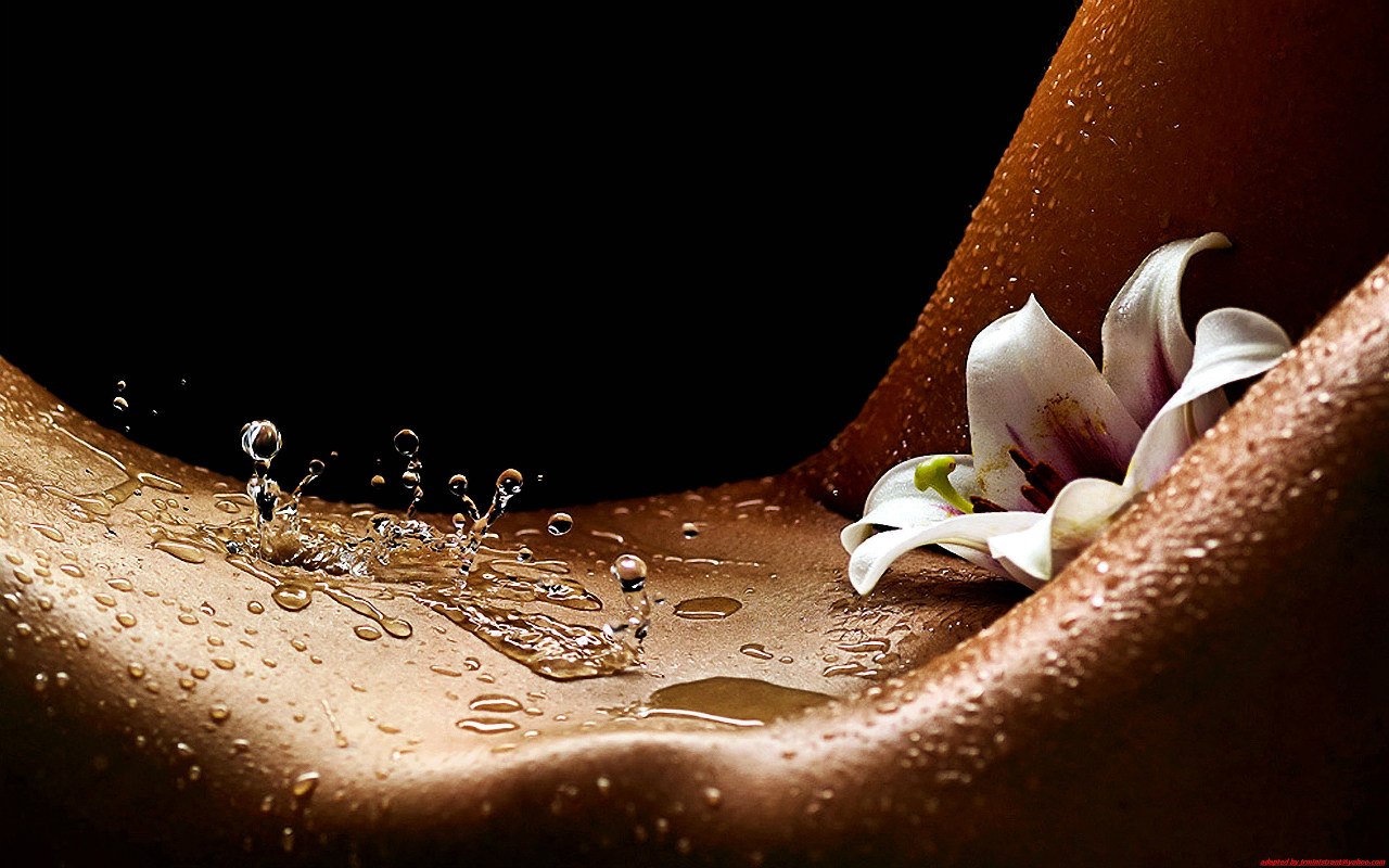 1280x800, 182 Kb / живот, капли, макро, цветок, лобок