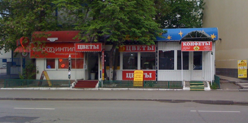 800x399, 146 Kb / магазин,  девушки