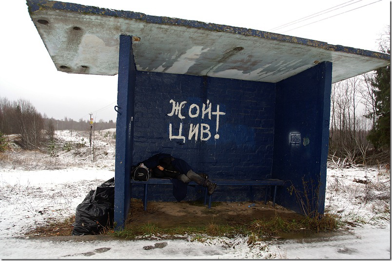 804x536, 187 Kb / цой