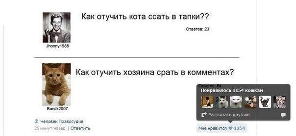 604x279, 21 Kb / кот, хозяин, испражнения, тапки, комменты