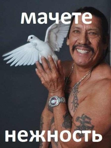374x500, 35 Kb / мачете, нежность, голубь, Danny Trejo