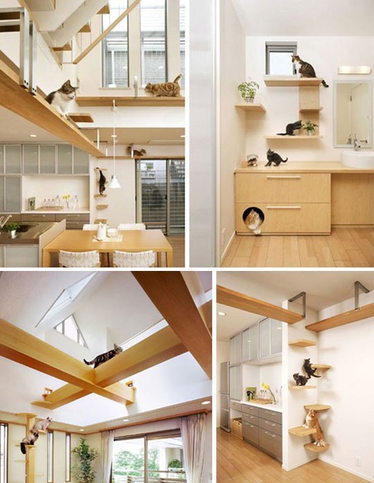 540x697, 73 Kb / дом, кошки, рай