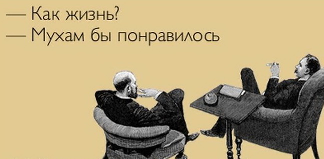 647x318, 49 Kb / жизнь, мухи, говно