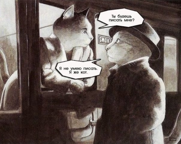 604x481, 83 Kb / кот, кошка, поезд, прощание, письмо