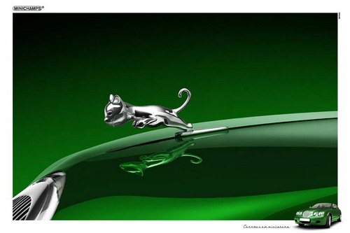 500x333, 28 Kb / ягуар, детёныш, капот