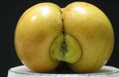 384x250, 9 Kb / яблоко