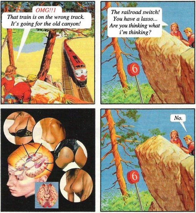 659x714, 112 Kb / поезд, сиськи, лассо, каньон