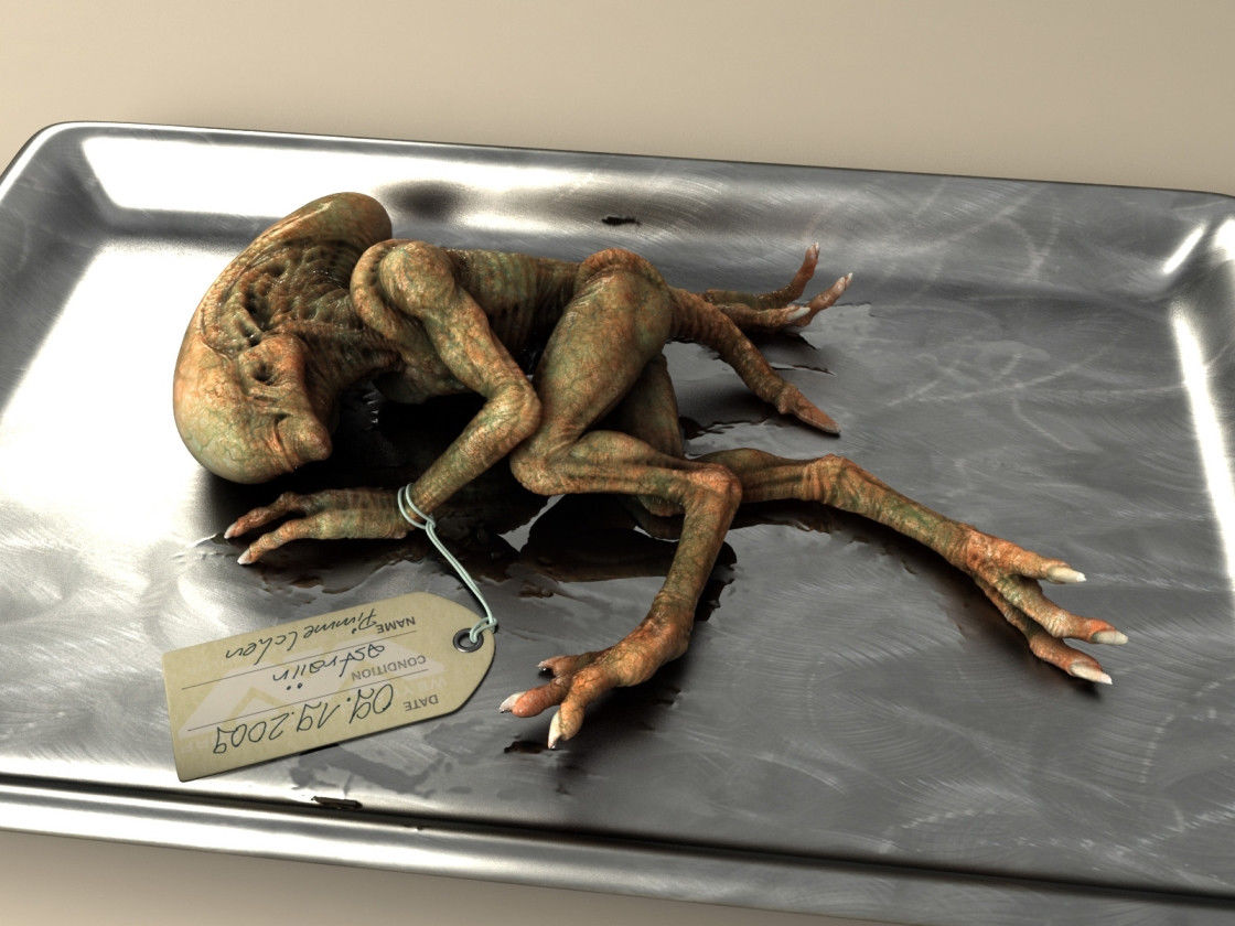 1120x840, 136 Kb / чужой, поднос, труп