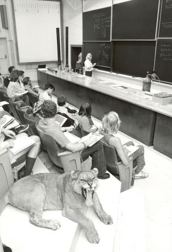 579x848, 142 Kb / лекция, хищник