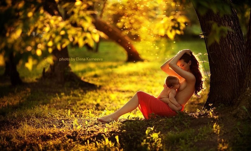 807x485, 99 Kb / красное платье, ребёнок, сад, кормление