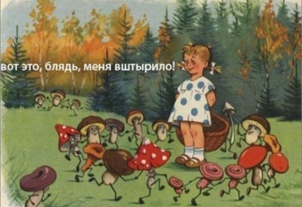 590x405, 54 Kb / рисунок, грибы, девочка, лес