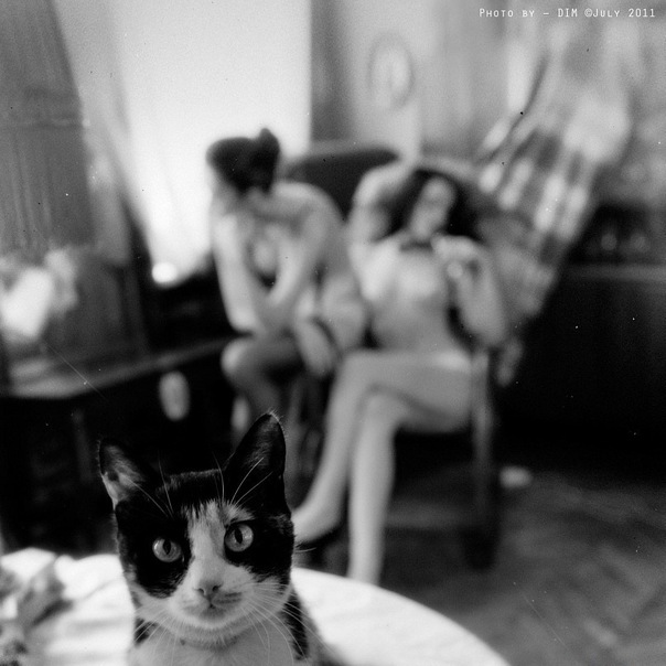 604x604, 78 Kb / котэ, брюнетки, ч/б