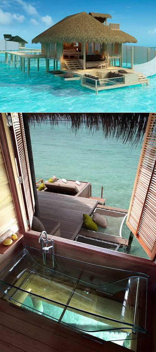 498x1126, 269 Kb / вода, море, бунгало, мальдивы