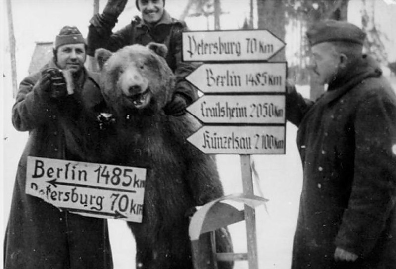 800x545, 84 Kb / фашисты, медведь, дорожный знак