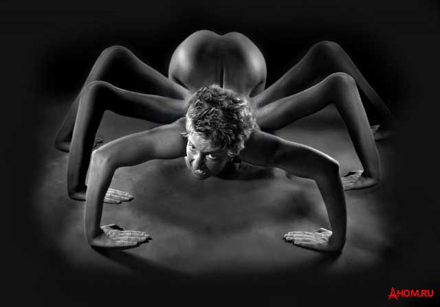 640x447, 21 Kb / руки, паук, ч/б