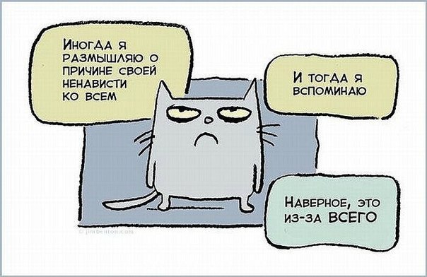 604x392, 55 Kb / кот, монолог