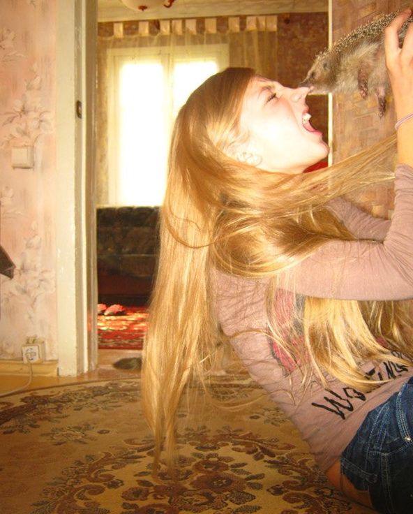 592x736, 154 Kb / еж, укус, нос