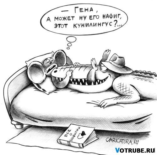 500x495, 51 Kb / куннилингус, зоофилия, чебурашка, гена