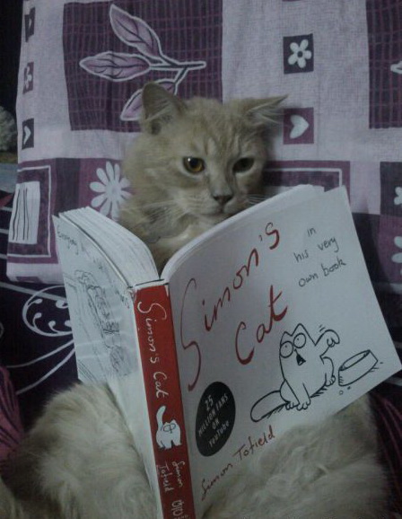 448x578, 83 Kb / кот, саймон, книга