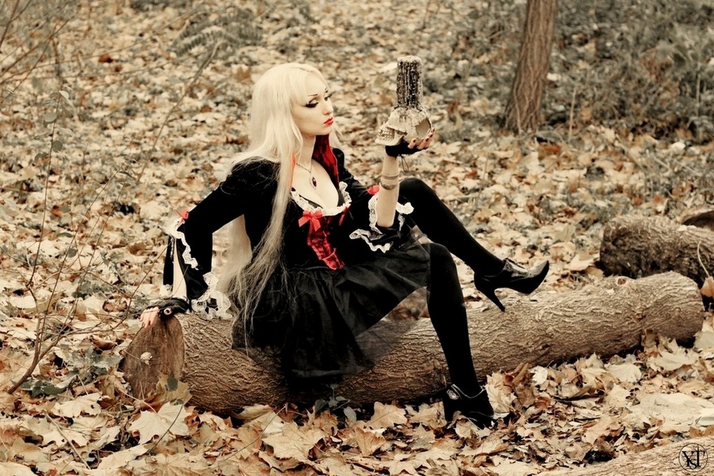 1033x688, 299 Kb / лес, листья, бревно, череп