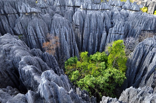 650x430, 125 Kb / пейзаж, Цинжи-дю-Бемарха, Мадагаскар