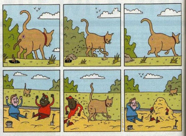 600x438, 122 Kb / котэ, нигер, говно, расизм