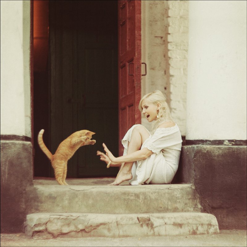 800x800, 87 Kb / котэ, блондинка, дверь, ступеньки