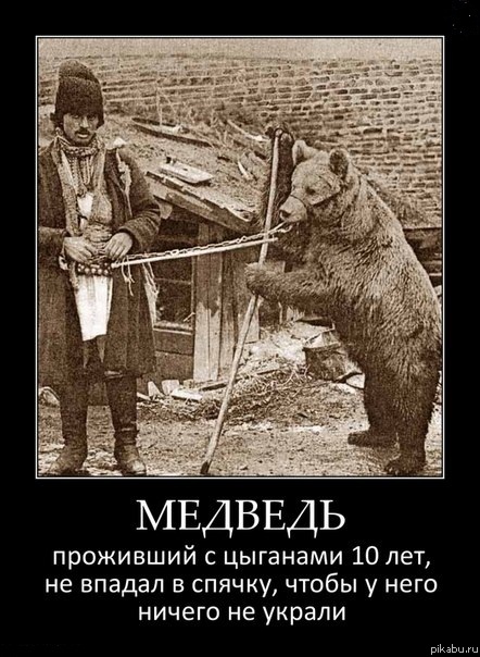 442x604, 98 Kb / цыгане, медведь, спячка