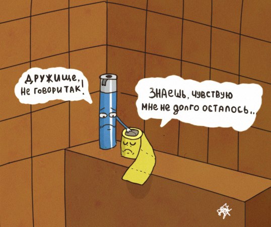 538x450, 46 Kb / туалетная бумага, освежитель