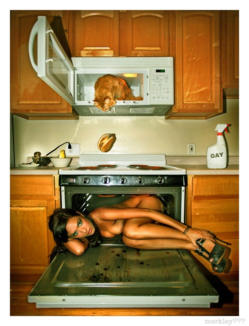 500x653, 100 Kb / девушка, духовка, кот, гамбургер, бутер, кухня, оп