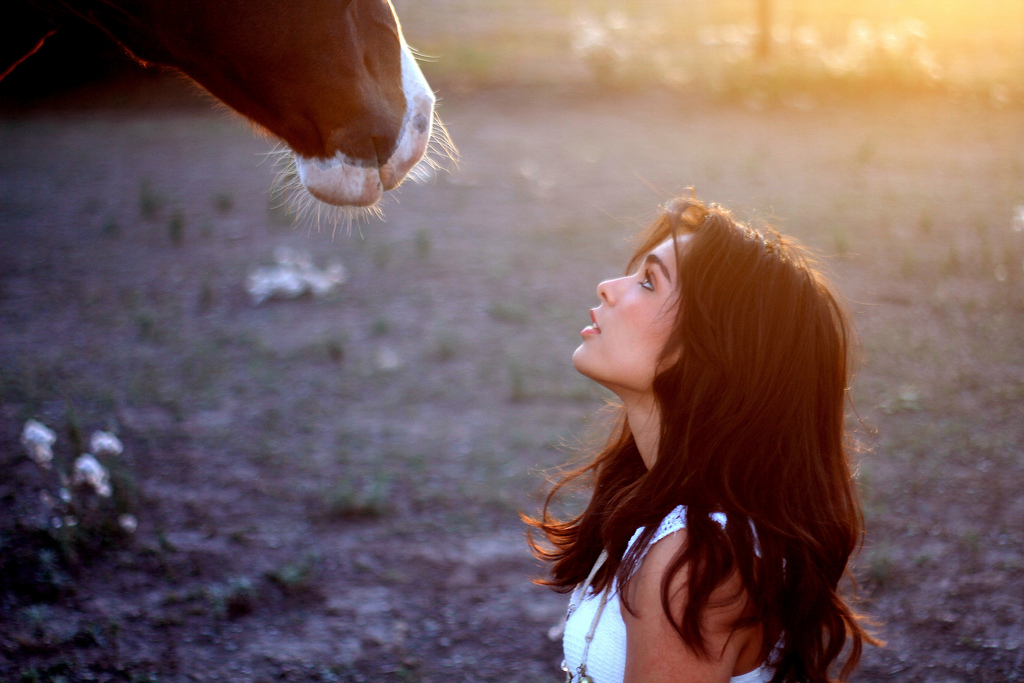 1024x683, 294 Kb / Взгляд, девушка, лошадь, утро