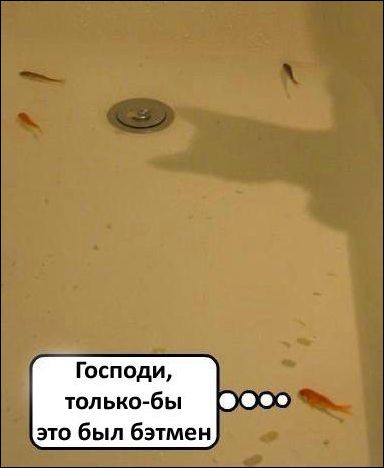 384x468, 18 Kb / ванна, рыбки, бэтмен
