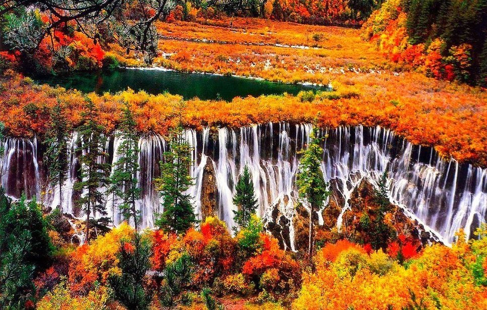 967x616, 287 Kb / деревья,горы,вода