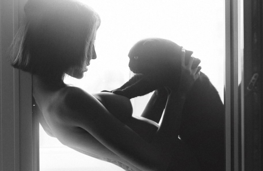 913x592, 53 Kb / кот, мацает, грудь