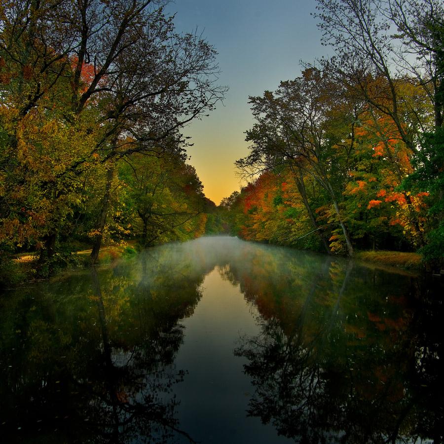 900x900, 178 Kb / вода, река, роща, осень