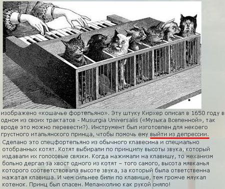 450x379, 55 Kb / пианино, коты