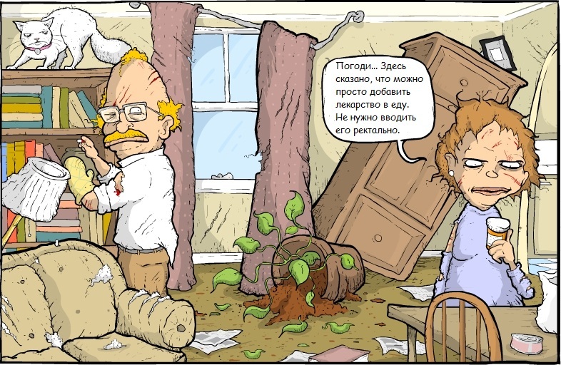 786x512, 238 Kb / кот, лекарство, погром, муж, жена
