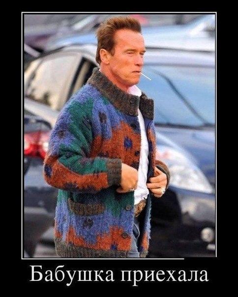 484x604, 58 Kb / Арнольд Шварценеггер, бабушка, свитер