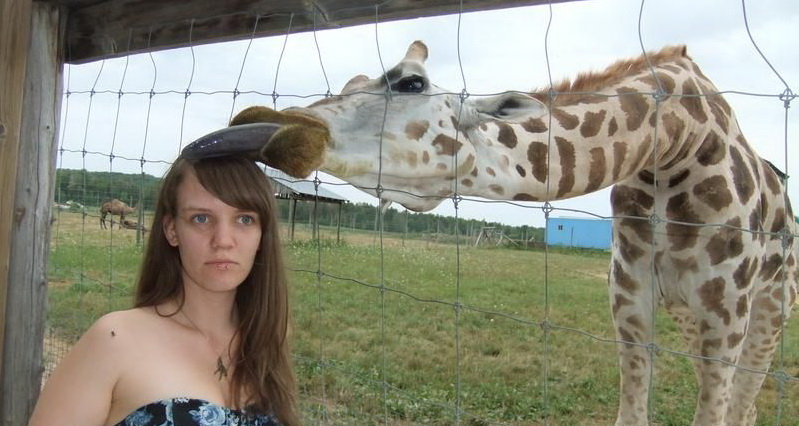 799x426, 122 Kb / жираф, девушка, фото