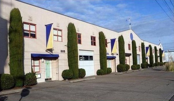 604x350, 48 Kb / виагра, офис, растения, хуй