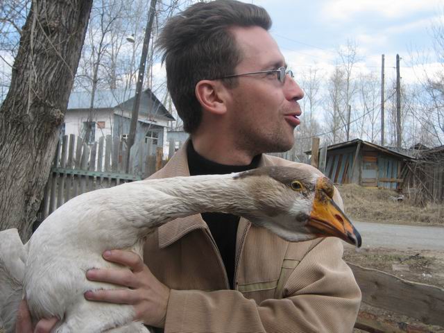 640x480, 60 Kb / гусь