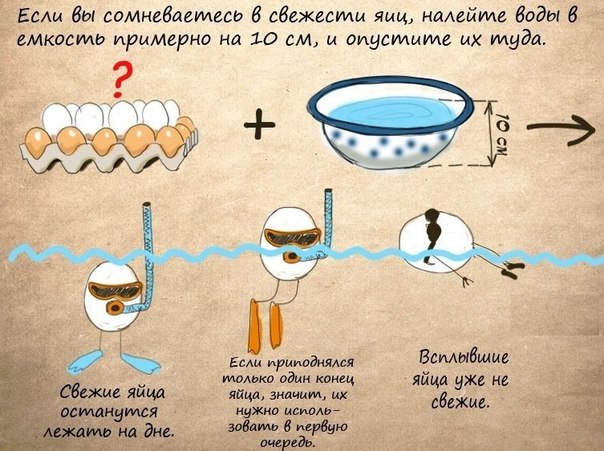 604x451, 84 Kb / яйца, свежесть, совет, проверка